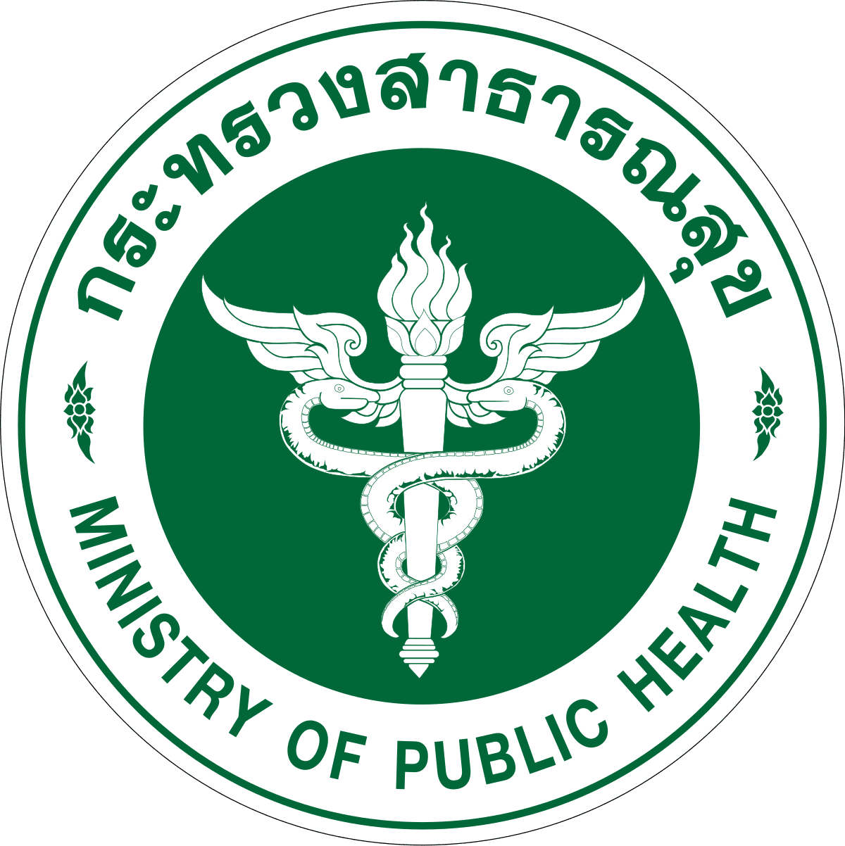 https://skyportsdroneservices.com/wp-content/uploads/2023/11/1200px-Seal_of_the_Ministry_of_Public_Health.png